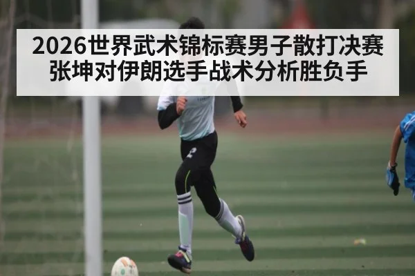 2026世界武术锦标赛男子散打决赛张坤对伊朗选手战术分析胜负手